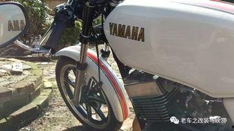 国产绵羊改装视频大全下载,改装视频大全下载解析